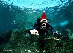 Xmas diving! by Alexia Dunand 